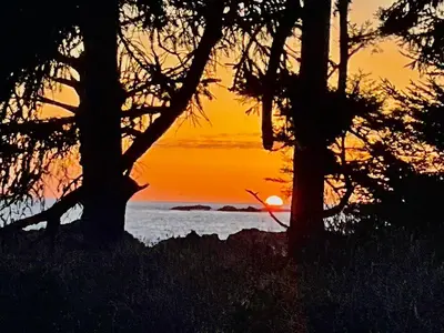 a sunset over the ocean between two trees at The Moorage in Ucluelet