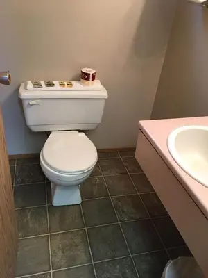 a bathroom with a toilet and a sink at Ranchland Villa Motel in Merritt
