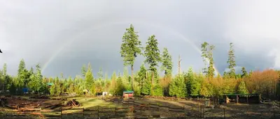 a rainbow in the sky over a field with trees at Maple Heart Ranch in Shawnigan Lake