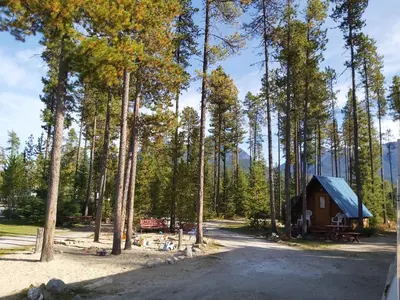 a small cabin in the middle of a forest at Blue River Campgrounds & Cabin-public washroom in Blue River