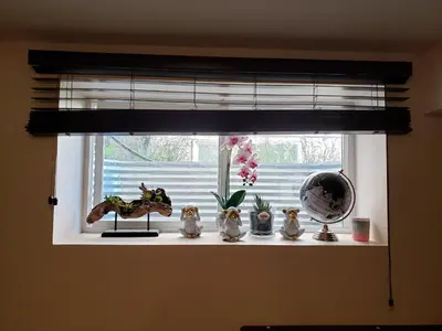 a window with a bunch of figurines on a window sill at Parson Creek Cozy suite in Fort McMurray