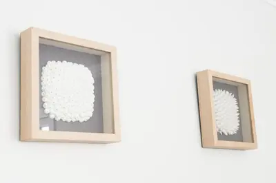 two framed pictures of a sphere on a wall at 5-Star Luxury and comfortable home in New Westminster