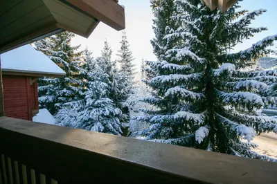 a snow covered christmas tree on the porch of a house at 2BR in Symphony, Whistler Village, Complex Hot Tub, Gas Fireplace, Parking, Gondola Shuttle in Whistler