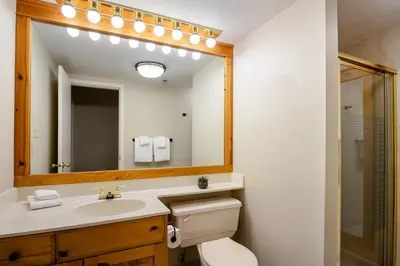 a bathroom with a toilet and a sink and a mirror at 3BR in Foxglove, Wood Burning Fireplace, Mudroom, Near Gondola, Parking in Whistler
