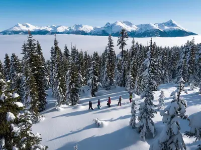 a group of people skiing in the snow with snow covered trees at 3BR in Montbello, Cozy Townhouse, Private Hot Tub, Near Village, Fireplace in Whistler