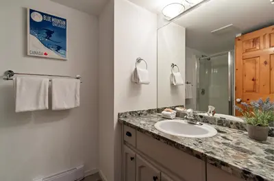 a bathroom with a sink and a mirror at 3BR in Valhalla, Village Location, Communal Hot Tub, Gas Fireplace, Parking in Whistler