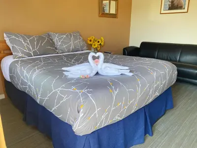 two swans are sitting on top of a bed at Bear's Claw Lodge in Cache Creek