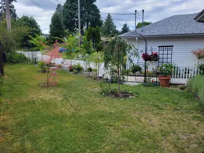 a garden with trees and plants in a yard at JoyVeal’s Homey Place in Sechelt