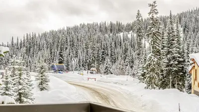 a road covered in snow next to a forest of trees at Trappers Landing #34 by Bear Country in Sun Peaks