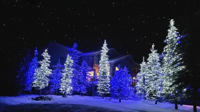 a group of blue christmas trees in front of a house at Trappers Landing #34 by Bear Country in Sun Peaks