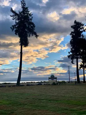 a park with a tree and a bench in a field at Oyster Bay Resort in Oyster Bay