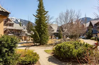 a street in a village with a pine tree at Renovated & Spacious 1bed/2bath Whistler Village in Whistler