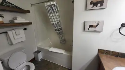 a bathroom with a toilet and a zebra stocking on the wall at Settlers Crossing #41 by Bear Country in Sun Peaks