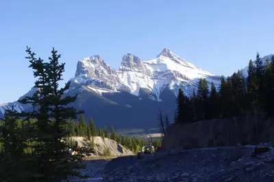 a snow covered mountain with a tree in the foreground at Apartment 407, Contemporary Decor in Canmore