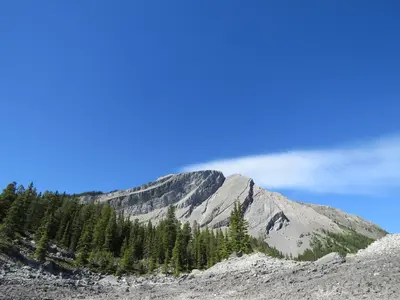 a mountain with trees in front of it at Apartment 407, Contemporary Decor in Canmore