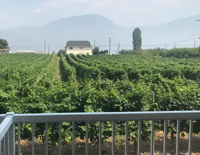 a farm with a house in the middle of a field at Sonora Desert Inn in Osoyoos
