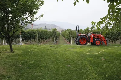 a red tractor parked in a field of grass at Sonora Desert Inn in Osoyoos