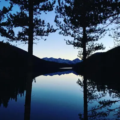 a view of a lake with trees in the foreground at Cooks and Puppies Hideaway in Jade City