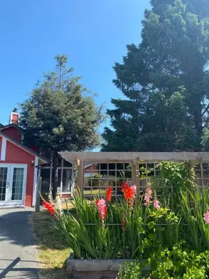 a garden with flowers in front of a house at Private Suite with Separated Entrance Monica's Home in Richmond