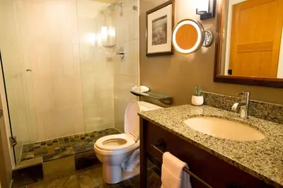 a bathroom with a toilet and a sink and a shower at Sundial Hotel in Whistler