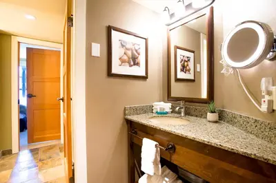 a bathroom with a sink and a mirror at Sundial Hotel in Whistler