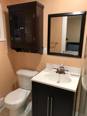 a bathroom with a toilet and a sink and a mirror at Shady Willow Guest House - SMALL Indipendent Units with Seperate Entrance for Travellers in Chilliwack