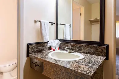 a bathroom with a sink and a mirror at Ramada by Wyndham Coquitlam in Coquitlam