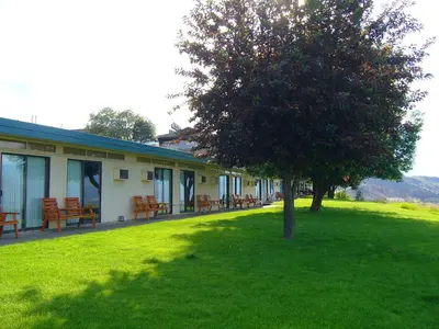 a tree in the grass in front of a building at Hospitality Inn in Kamloops