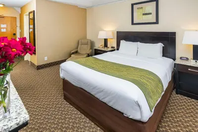 a hotel room with a large bed and flowers at Comfort Inn & Suites in Edmonton