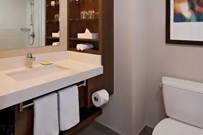 a bathroom with a sink and a toilet and a mirror at Delta Hotels by Marriott Edmonton South Conference Centre in Edmonton