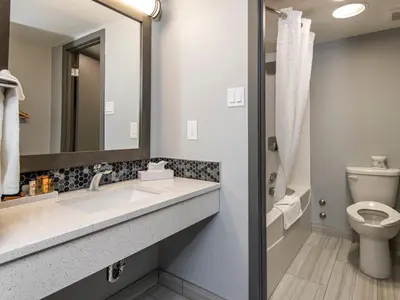 a bathroom with a sink and a toilet at Paradise Inn & Conference Centre in Grande Prairie