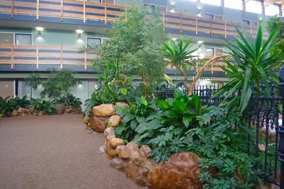 a lobby with a bunch of plants and trees at Baymont by Wyndham Red Deer in Red Deer
