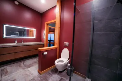 a bathroom with a toilet and a sink and a shower at Luxe Modern Timberframe - Iconic Panorama Views with AC in Nelson