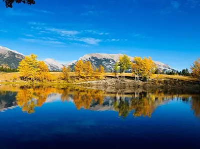a lake with trees and mountains in the background at Hotel Room in Windtower Lodge-121 in Canmore