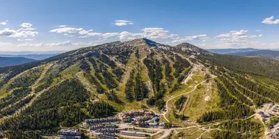 an aerial view of a mountain with trees at Chalet Monashee - Brand New High-End Property with Amazing Views in Big White