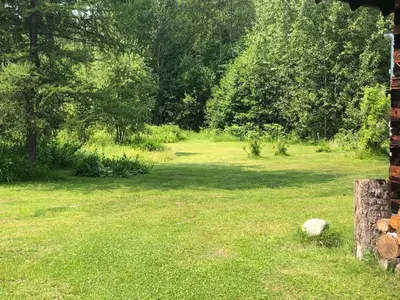 a yard with a field of grass and trees at Mini-Mooh cabin in Clearwater