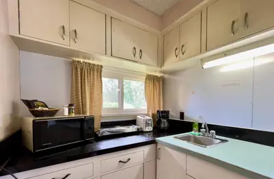 a kitchen with a sink and a microwave at Airport Inn in Quesnel
