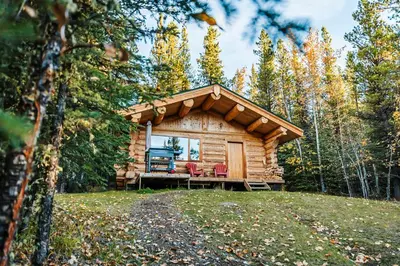a log cabin in the woods with red chairs at Rocky Mountain Escape Dome & Log Cabin Rentals - Rock Lake in Rock Lake Provincial Park