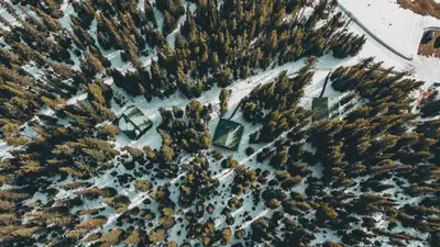 an aerial view of a forest of trees in the snow at Rocky Mountain Escape Dome & Log Cabin Rentals - Rock Lake in Rock Lake Provincial Park