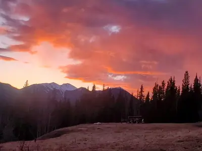 a sunset over a field with trees and mountains at Rocky Mountain Escape Dome & Log Cabin Rentals - Rock Lake in Rock Lake Provincial Park