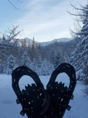a pair of shoes sitting on top of snow covered trees at Rocky Mountain Escape Dome & Log Cabin Rentals - Rock Lake in Rock Lake Provincial Park