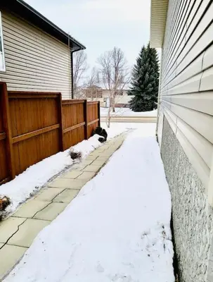 a cat sitting in the snow next to a house at Spacious Basement suite in Camrose