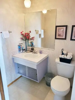 a bathroom with a sink and a toilet and a mirror at The Dewberry Homestay B&B in Edmonton