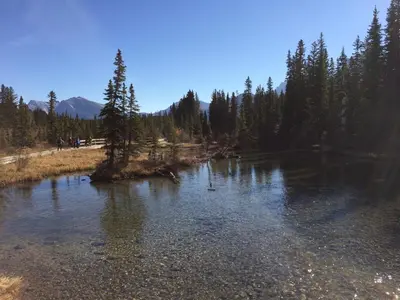 a river with trees on the side of it at Apartment 405 Bear Creek Crossing in Canmore