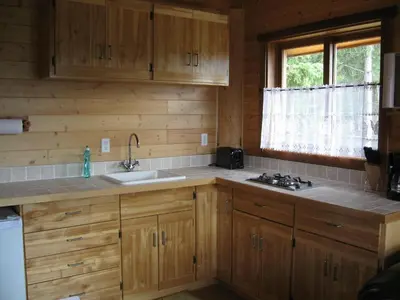 a kitchen with wooden cabinets and a sink at Tschurtschenthaler Rentals in Golden