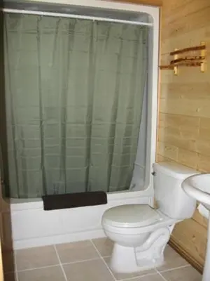 a bathroom with a toilet and a shower and a sink at Tschurtschenthaler Rentals in Golden