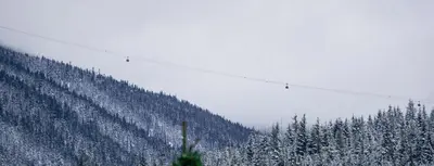 a ski slope with snow covered trees on a mountain at Ravencrest by Outpost Whistler in Whistler