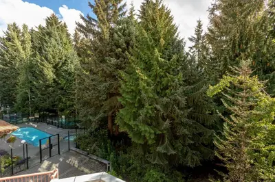 an overhead view of a pool and trees at Alpenglow Lodge Bear Wonder One Bedroom by MVA in Whistler