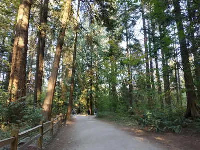 a person walking down a path in a forest at Private Suite w King Bed, Ground Level, Naturally Bright in Vancouver