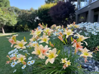 a bunch of flowers in a garden at Spacious and quiet garden view room in Kelowna